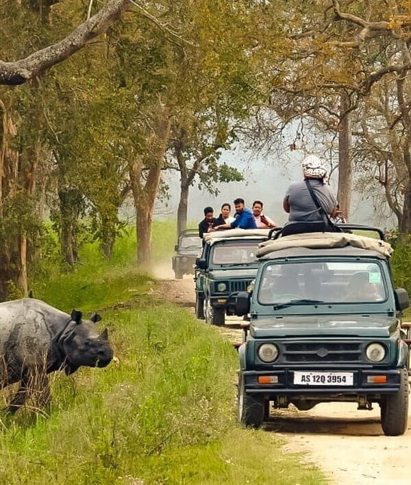 Assam - Shillong Tour Travel